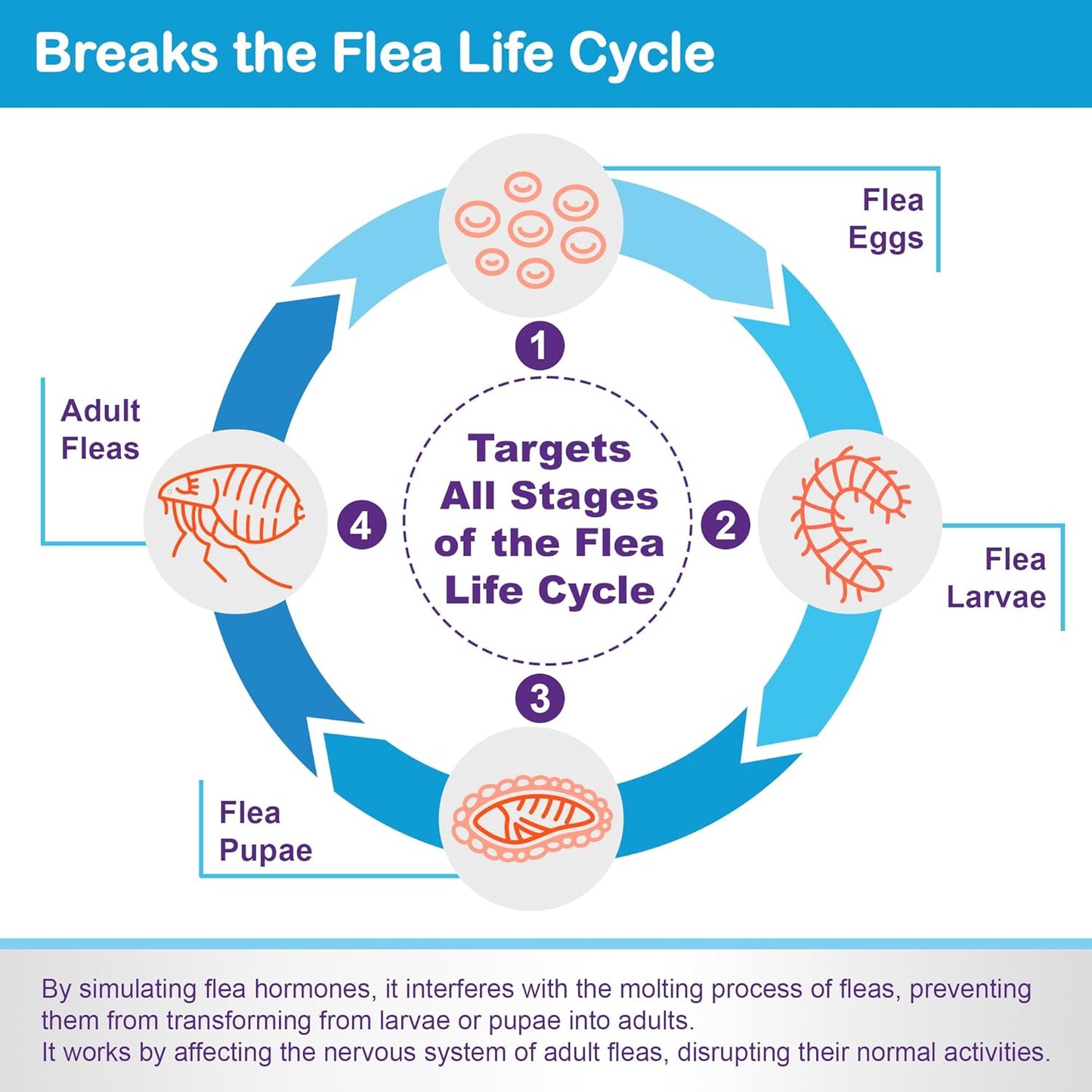 Topical Flea and Tick for Large Cats: Waterproof Topical Cat Flea and Tick – Fast-Acting & Long-Lasting at Home Control for Cats Over 9 lbs and 8 Weeks or Older – 6-Dose Supply