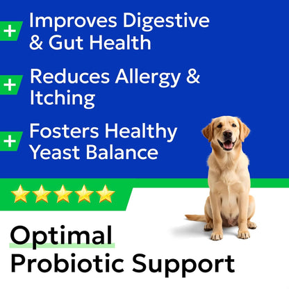 BARK&SPARK Dog Anal Gland Chews Aid + Dog Probiotics for Digestive Health & Enzymes - Prebiotics & Digestive Enzymes Supplement for Dogs Digestion & Gut Health - Diarrhea, Gas, Upset Stomach Relief