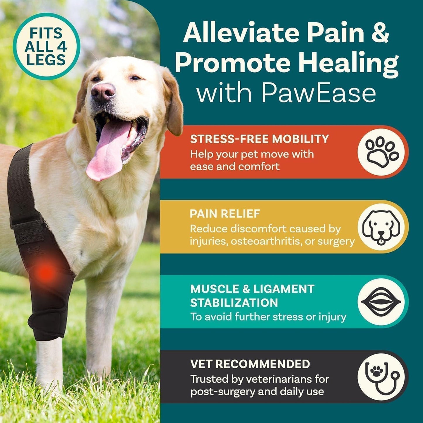 PetCove Dog Knee Brace for Torn Acl Hind Leg — Neoprene Compression, Spring Stabilizers, Belly Band Support Strap, Adjustable Velcro Fit, ACL/CCL, Arthritis, Front/Back Leg, Post-Surgery Recovery