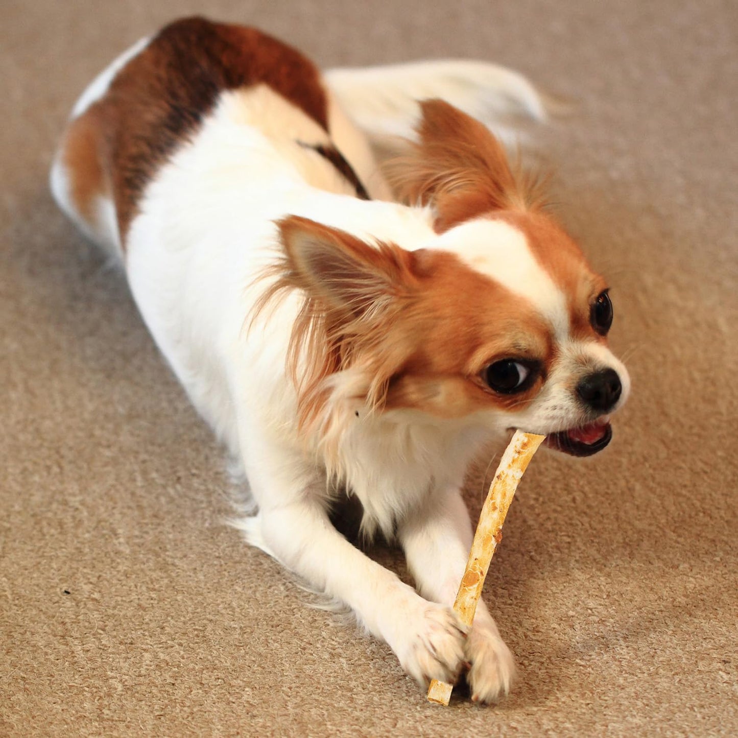 Fieldcrest Farms Nothin' to Hide Twist Stix, Beef Flavor, Easily Digestible, Supports Skin, Coat, Joints & Muscles, for Moderate Chewers Under 15lbs, 50 Pieces