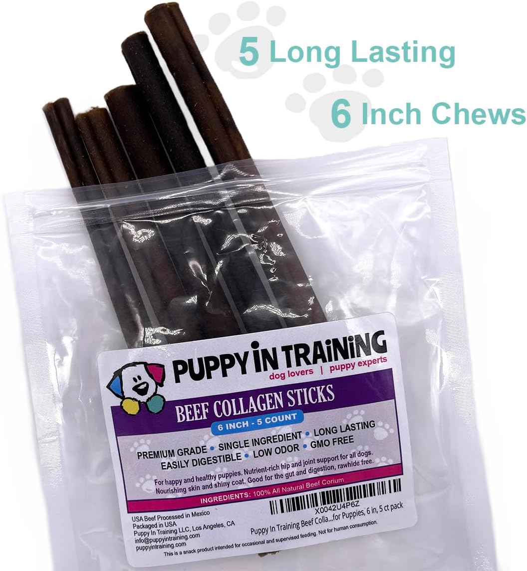 Puppy In Training Beef Collagen Sticks for Dogs, Bully Stick and Rawhide Alternative, All Natural, Teething Chew for Puppies, Low Odor, 6 in, 5 ct Pack