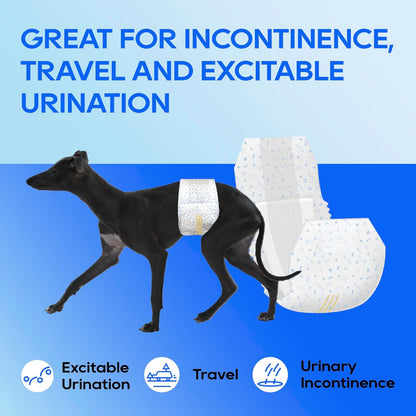 HONEY CARE All-Absorb A26 Male Dog Wrap, 50 Count, Small