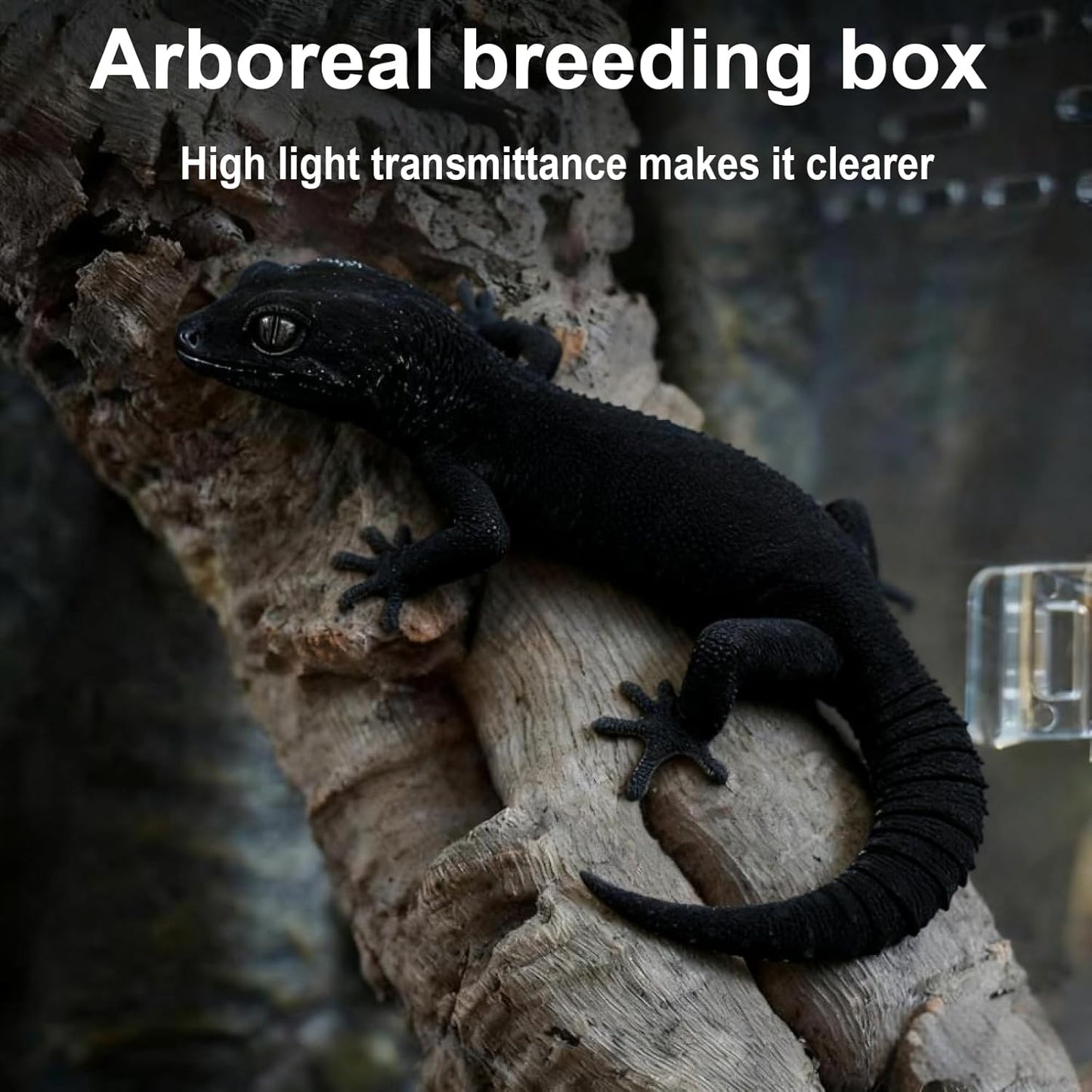 20x15x10cm Reptile Terrarium,Small Plastic Terrarium for Lizards Frogs Snakes,Transparent Spider Scorpion Insect Enclosure with Ventilation,for Pet Breeding Molting and Isolation Habitat