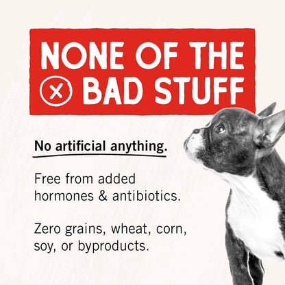 Stella & Chewy's Freeze-Dried Raw Beef Liver Dog Treats - Single Ingredient, No Additives - Premium Training Treats - Perfect For Picky Eaters - 3oz Bag