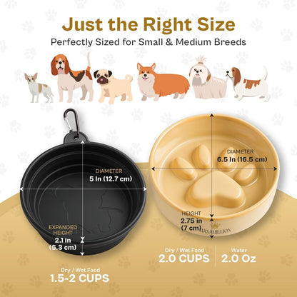 2 Ceramic Slow Feeder Dog Bowls for Small & Medium Dogs – Heavy Puzzle Maze Ceramic Dog Bowl for Fast Eaters to Stop Bloat, Vomiting & Choking – Non-Slip, Healthier and Easy-to-Clean
