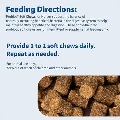 Probios for Horses Soft Chews, Daily Probiotic Supplement for Gut Health, Digestion & Immune Support, Horse Supplies, Apple Flavor, 1.32 lbs (600 Grams) (Pack of 2)