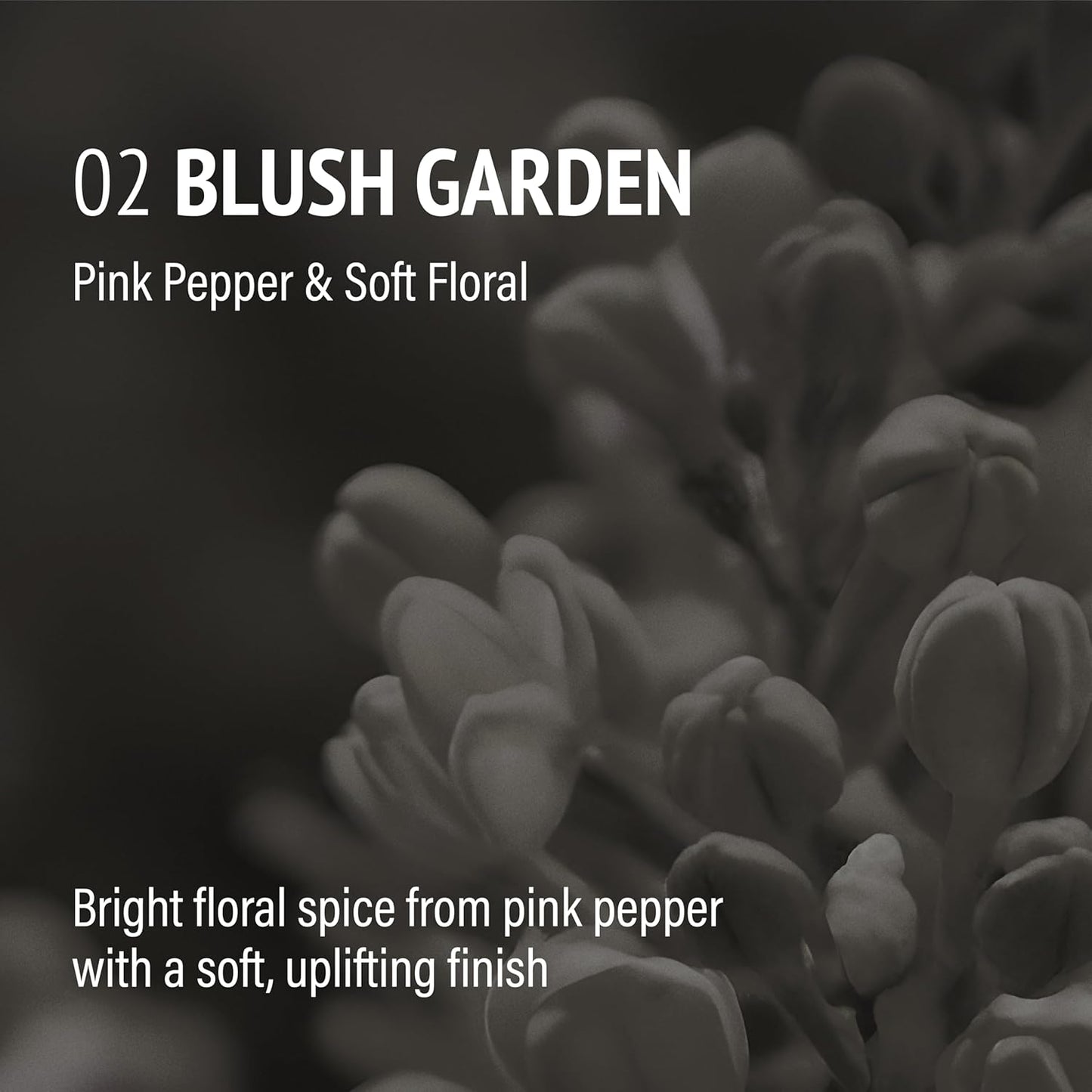 Vegan Dog Shampoo Premium K-Beauty Inspired Gentle Dog Shampoo for Sensitive Skin with Green Tea, Camellia Oil & Centella Asiatica, Elegantly Scented, Natural Pet Wash (Blush Garden)