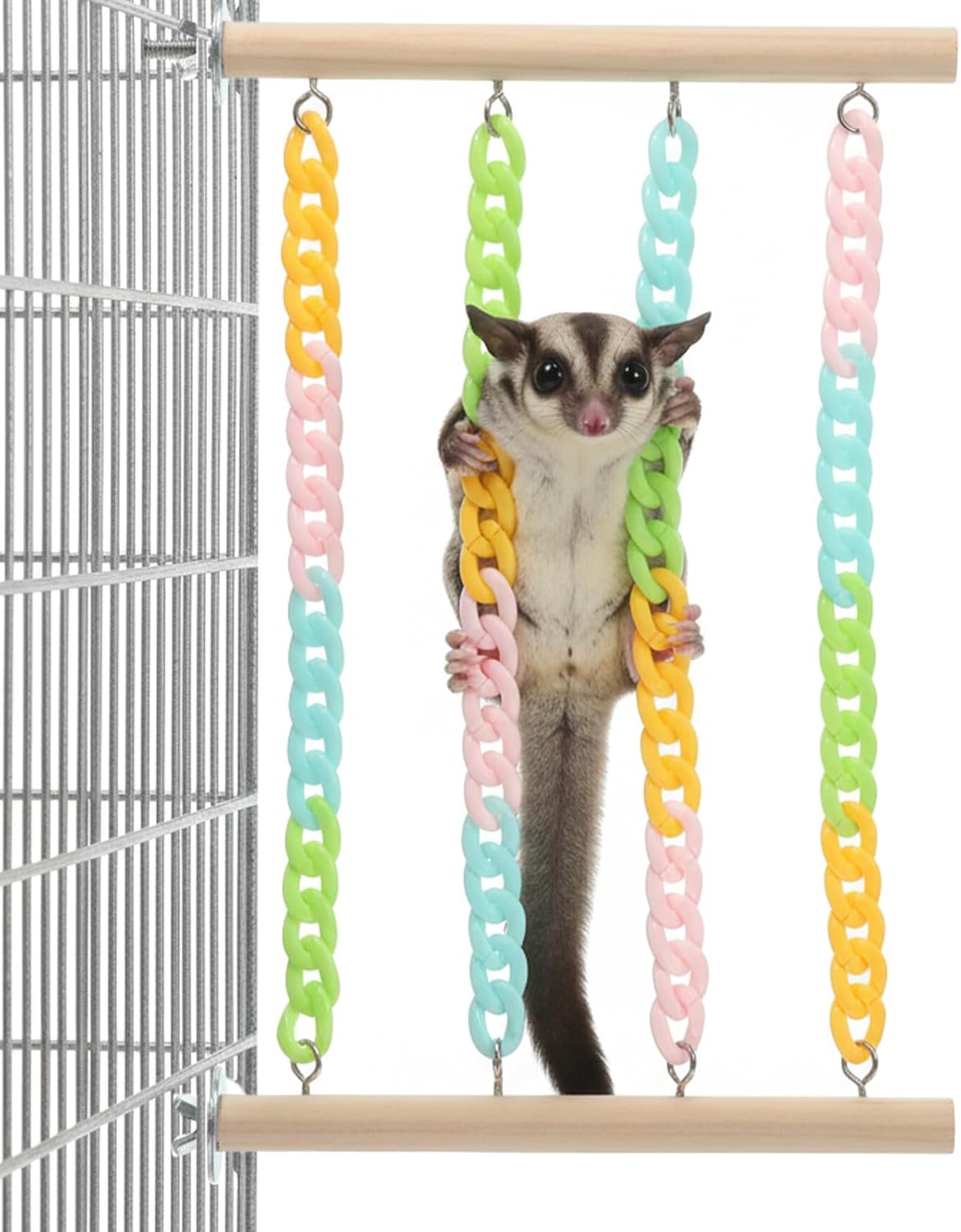 Colorful Sugar Glider Toys and Cage Accessories Natural Wood with Sturdy, Chains Hanging Sugar Glider and Rat Cage Accessories Enrichment Toys for Small Animals and Parrots