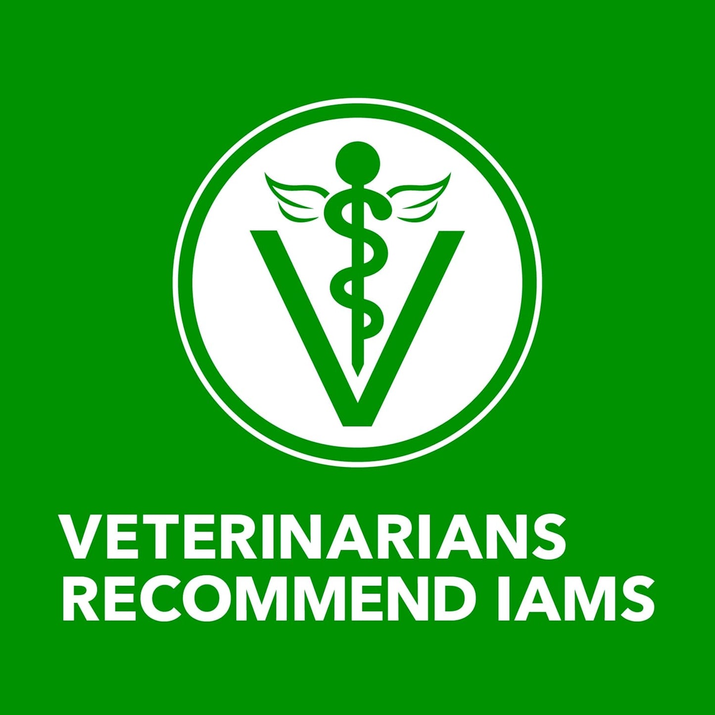 IAMS Proactive Health Adult Wet Dog Food Classic Ground with Chicken and Rice, 13 oz. Cans (6 Count, Pack of 1)