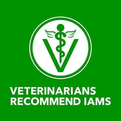 IAMS Proactive Health Adult Wet Dog Food Classic Ground with Chicken and Rice, 13 oz. Cans (6 Count, Pack of 1)