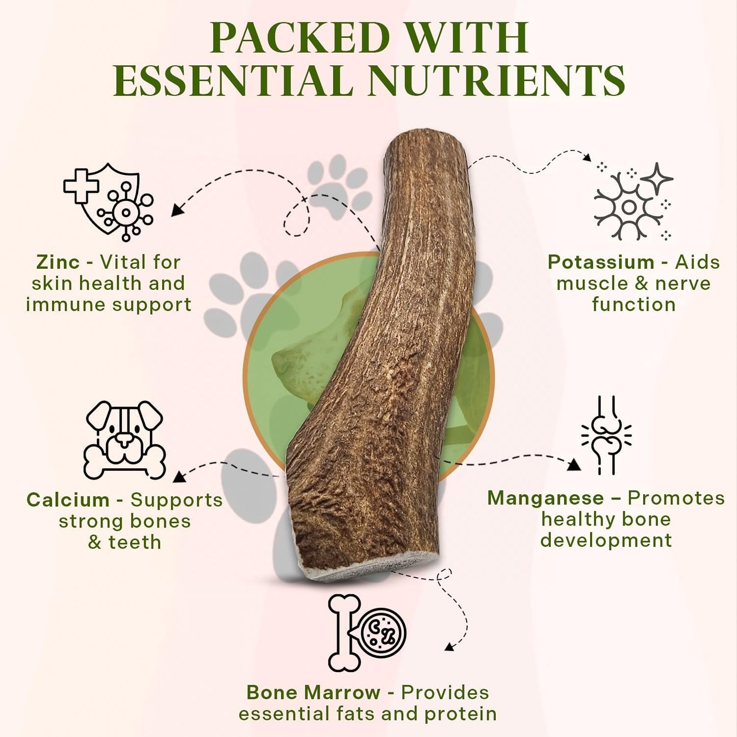 Healthy Dogma Allergy-Sensitive Dog Food & Elk Antler Chew Combo: Dehydrated Chicken Dinner (10 lbs) + Natural, Long-Lasting Elk Antler for Tough Chewers (8+ Inches)