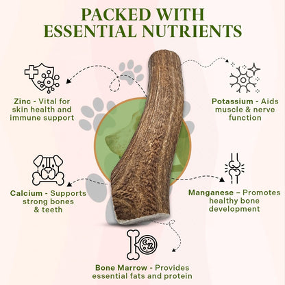 Healthy Dogma Allergy-Sensitive Dog Food & Elk Antler Chew Combo: Dehydrated Chicken Dinner (10 lbs) + Natural, Long-Lasting Elk Antler for Tough Chewers (8+ Inches)