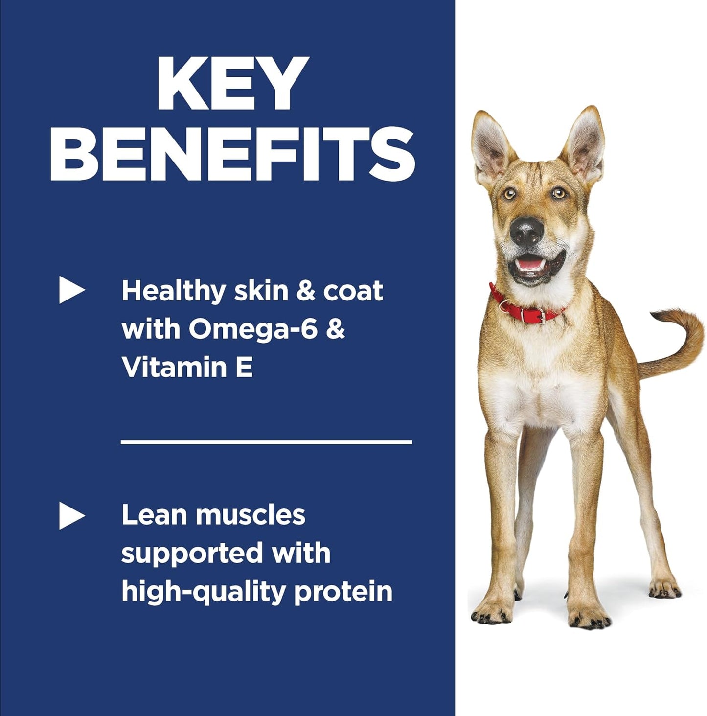 Hill's Science Diet Adult 1-6, Adult 1-6 Premium Nutrition, Dry Dog Food, Lamb & Brown Rice, 33 lb Bag