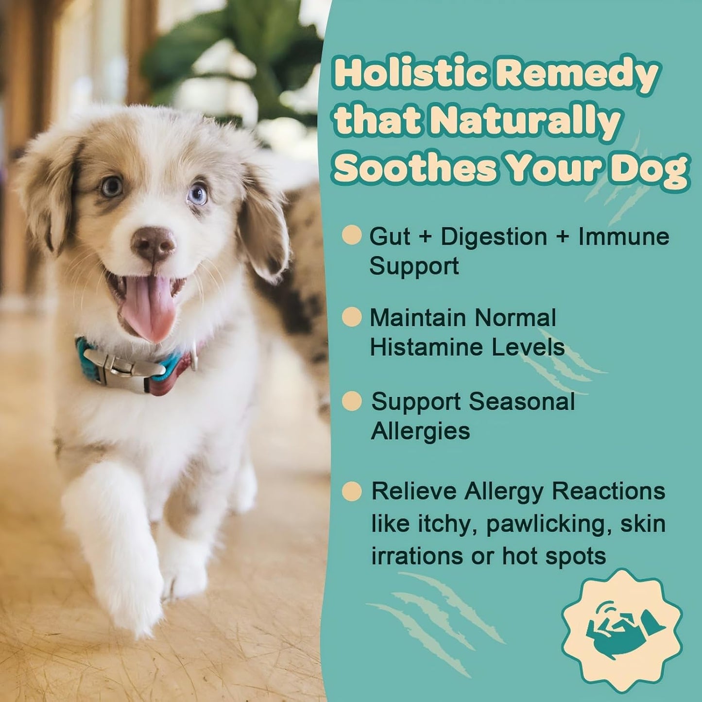 ZEBORA Probiotics for Dogs - Dog Probiotics, Salmon Oil for Dogs