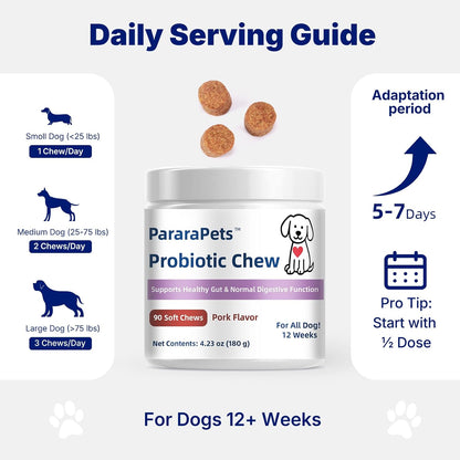 Probiotics for Dogs,Dog Probiotic Supplements,Canine Nutritional Supplement,Health Supplies,Gastrointestinal Health Promotes Digestion and Nutrient Absorption, 90 Soft Chews