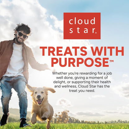 Buddy Biscuit Softies 5 oz Pouch, Grain-Free Soft & Chewy, Natural Grilled Beef Flavor Dog Treats, Oven Baked in the USA