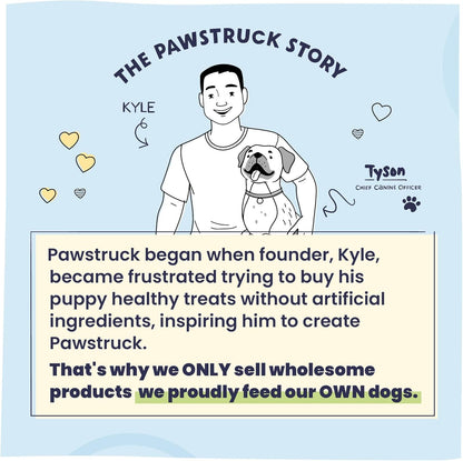 Pawstruck Large 5-6” Filled Dog Bones Variety Pack - Peanut Butter, Cheese & Bacon, Beef Flavors - Made in USA, Long Lasting Stuffed Femur Treat for Aggressive Chewers - Pack of 3, Packaging May Vary