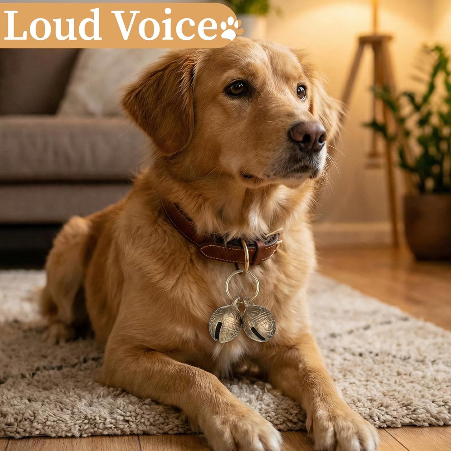 Copper Bell for Dog Collar, 2 PCS Large Brass Dog Bells Collars Extra Loud Collar Bell for Pet Tracking Anti Lost Training Pets Pendant Accessories Anti Theft Bells for Medium Large Dogs & Cats