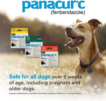 Panacur C Canine Dewormer (Fenbendazole), 4 Gram, 3 Count (Pack of 1), Red