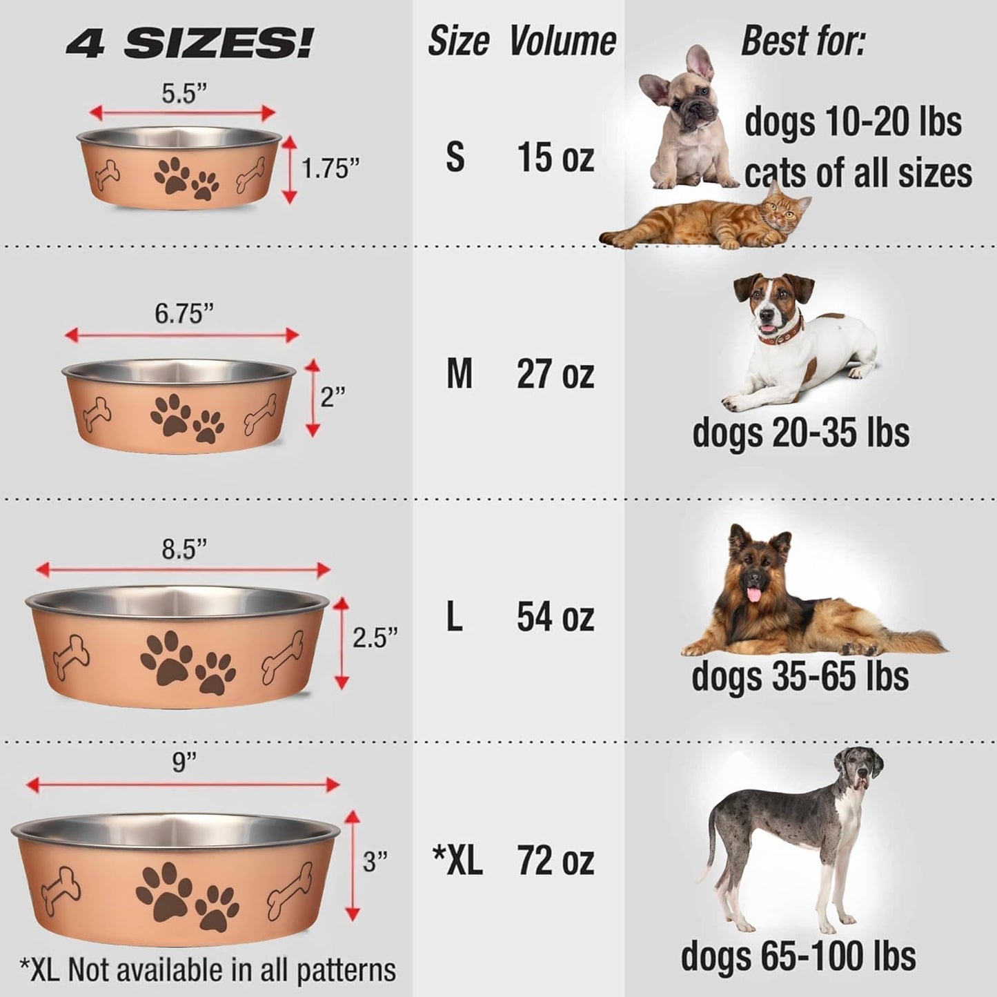Loving Pets Bella Dog Bowls- Stainless Steel Dog & Cat Bowls - Spill Proof Dog Food Bowl, Cat Bowl, Puppy Essentials & Pet Supplies Great for Home & Travel (Medium 20-35 lbs, Champagne) (Pack of 2)