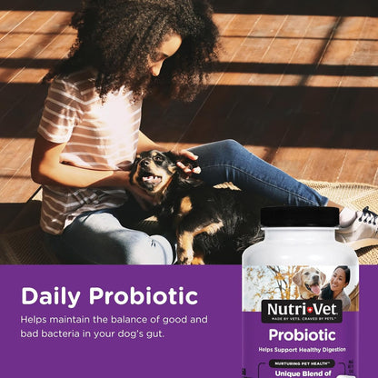 Nutri-Vet Probiotics for Dogs, Supports Digestive Health, Dog Probiotics, Promotes Healthy Immune System, Vet Formulated, Gut Health, Puppy Supplies, 60 Count Capsules
