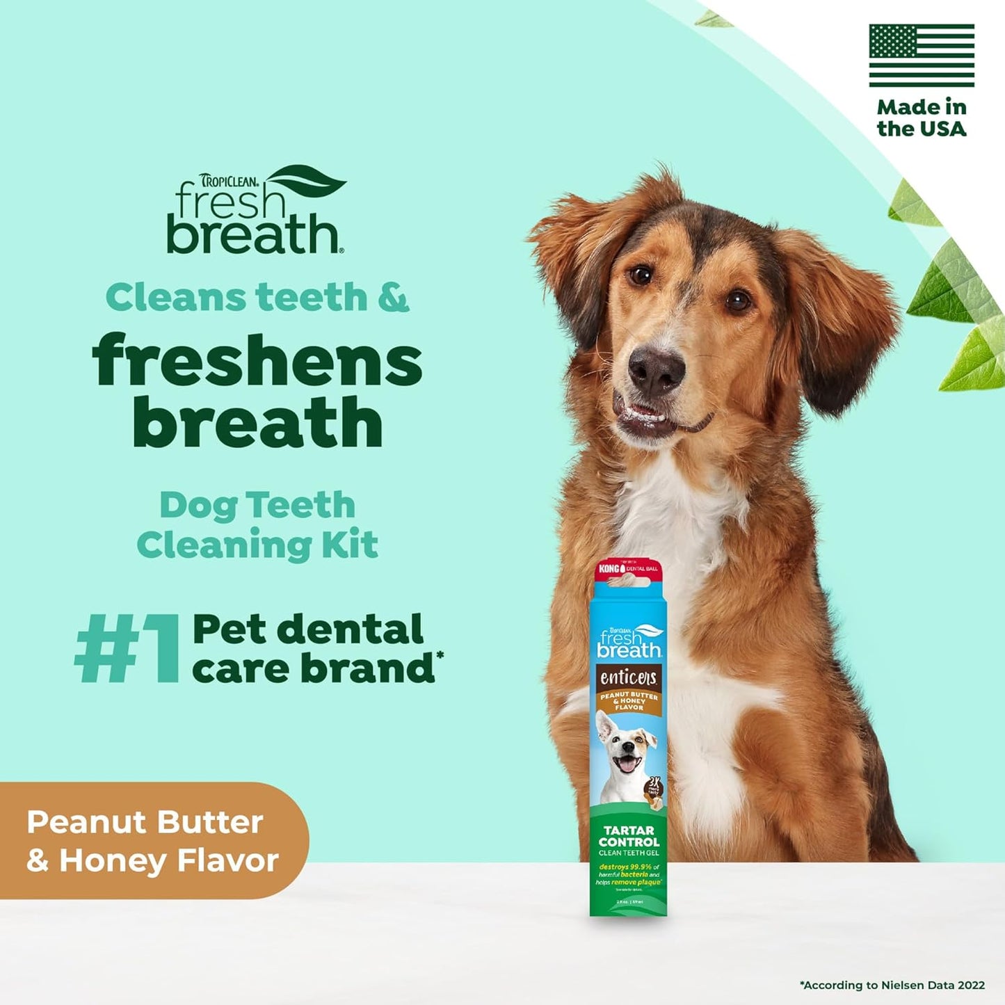 TropiClean Fresh Breath - Dog Toothpaste - Dog Teeth Cleaning Peanut Butter & Honey Flavor - Freshens Breath and Cleans Teeth - 2oz