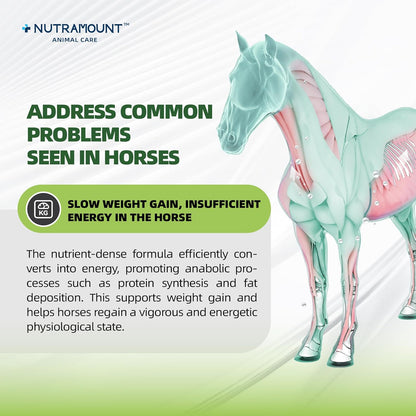 Horse Weight Gain Supplement – Omega-3 Flaxseed Formula, Natural High-Calorie Support for Healthy Weight & Shiny Coat, Easy-to-Digest High-Fat Horse Supplement – 420g