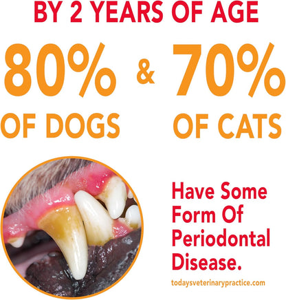 Petrodex Toothpaste for Dogs and Puppies, Cleans Teeth and Fights Bad Breath, Reduces Plaque and Tartar Formation, Enzymatic Toothpaste, Peanut Flavor, 2.5oz (Pack of 2)