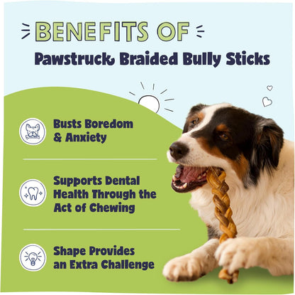 Pawstruck Natural 9" Braided Bully Sticks for Dogs - Long Lasting Rawhide Free Low Odor Single Ingredient Chew Treat for Aggressive Chewers - 1lb Bag