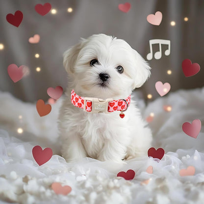 Valentines Dog Collar for Small Dogs - Red Love Valentine Dog Collar, Romantic Sweetheart Text Print, Lightweight Adjustable Boy Girl Dogs Collars with Quick-Release Buckle XS
