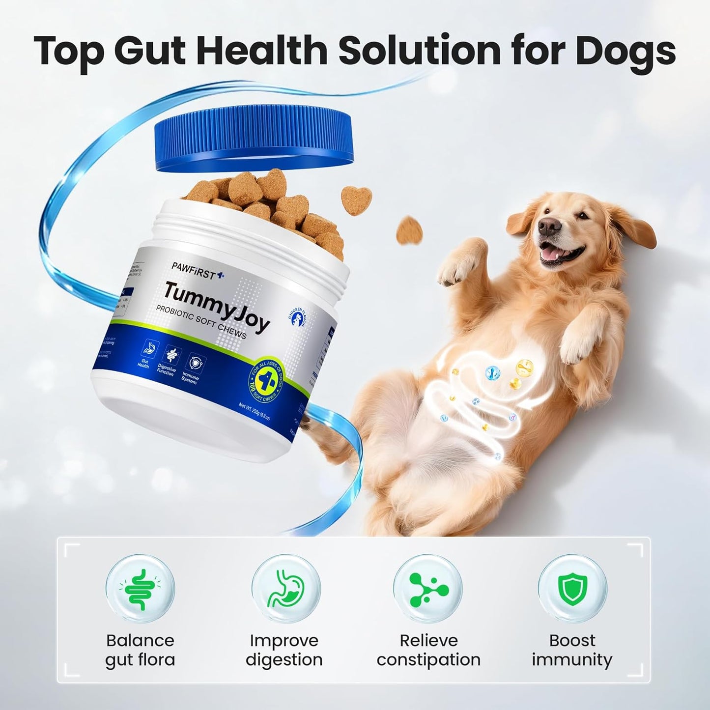 Probiotics Supplement Chews for Dogs, Support Digestive and Gut Health, with Prebiotics & Enzymes for Diarrhea and Upset Stomach Relief, Chicken Flavor 100ct