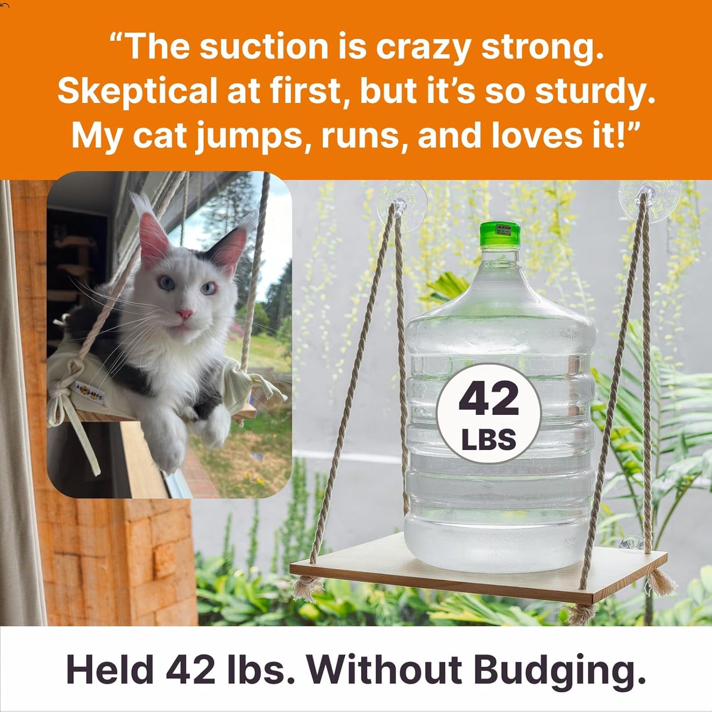 Cat Hammock with Industrial-Grade Suction Cups - Solid Pine Wood Seat, Soft Cushion - 42 lb Capacity