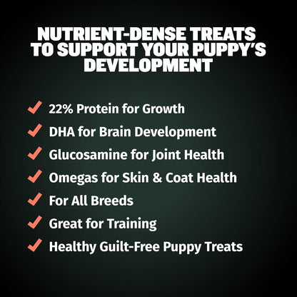 Bully Max Puppy Growth Lamb Dry Food 24/14 (5 lbs.) + Puppy Training Treats, Beef Flavor – for Small Dogs and Large Breed Puppies – Supports Healthy Growth, Training and Skin & Coat