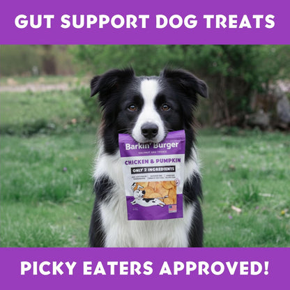 Barkin Burger - Only 2 Premium Ingredients. All Natural Chicken Chips Digestive Support Healthy Dog Treats - Grain Free, Zero Fillers or Preservatives - Perfect for Sensitive Stomachs, Made in USA