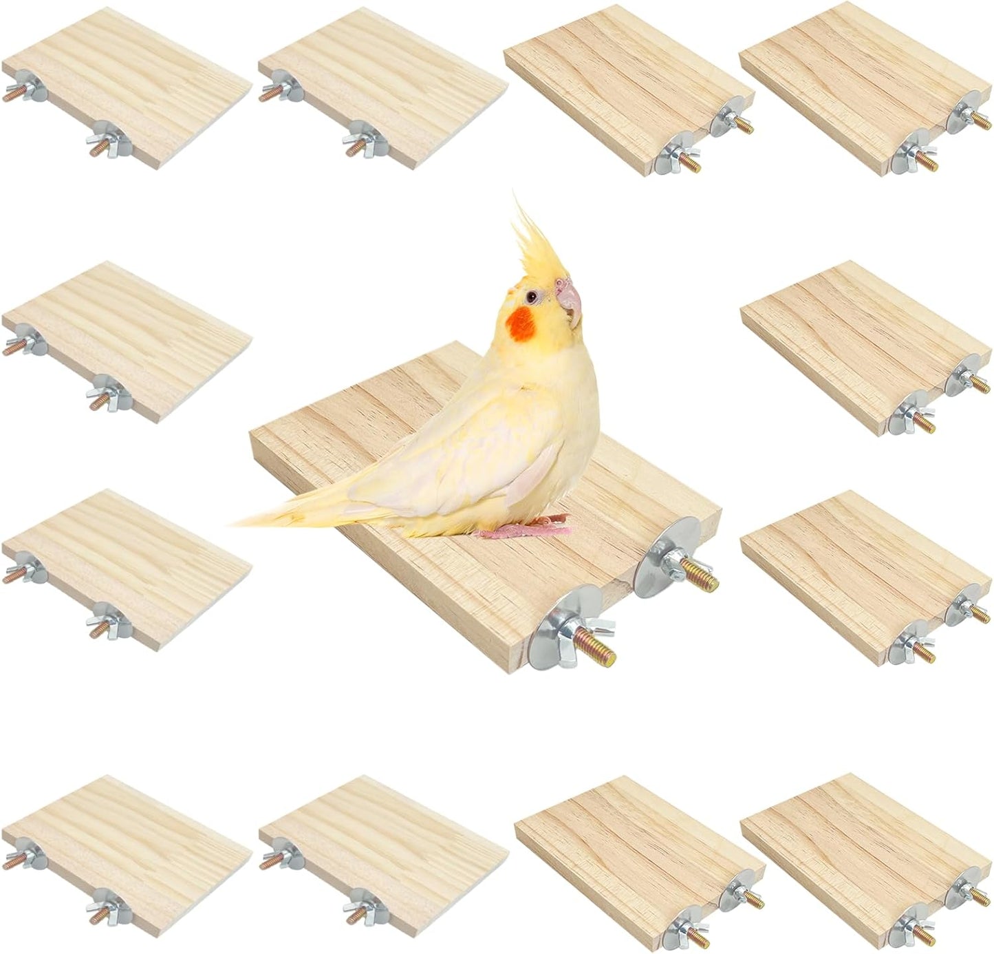 kathson 12 Pcs Wooden Bird Cage Platform Flat Birds Perch Stand Rectangle Parrot Perch with Washers for Bird Paw Grinding Cockatiel Cage Accessories for Parrot, Budgies, Conure, Lovebirds