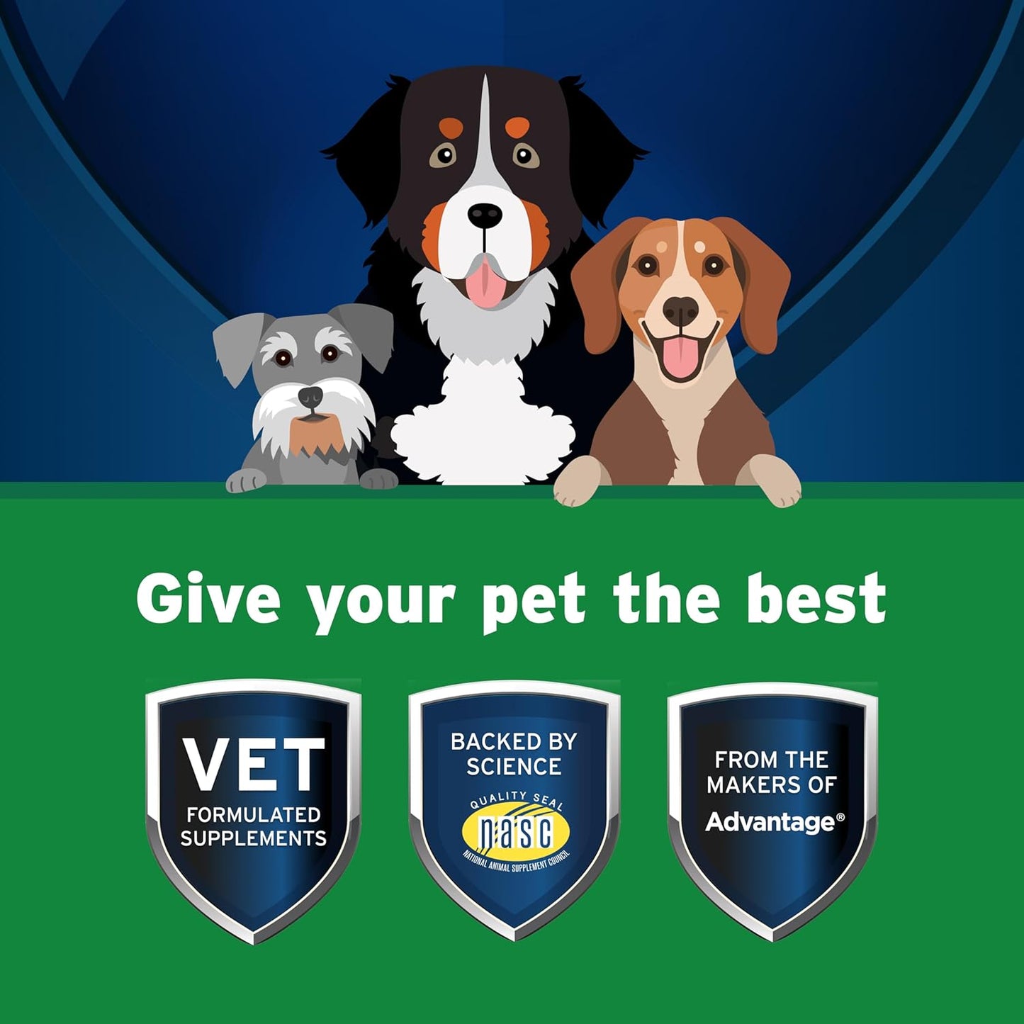 Pet Protect Digestive Health Supplement with Probiotics for Dogs, Vet-Formulated Lactoquil, Chicken-Flavored Soft Chews (60 Count)