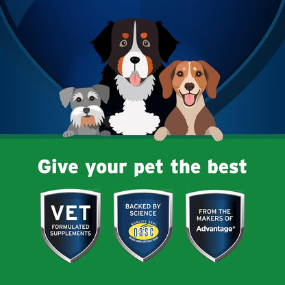 Pet Protect Digestive Health Supplement with Probiotics for Dogs, Vet-Formulated Lactoquil, Chicken-Flavored Soft Chews (60 Count)