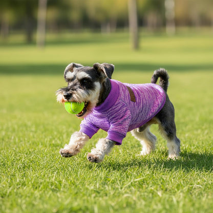 hoyuwak 2 PCS Dog Sweaters for Small Dogs Warm Winter Fall Knit Puppy Sweater Pet Girl Thick Clothes for Chihuahua Yorkie