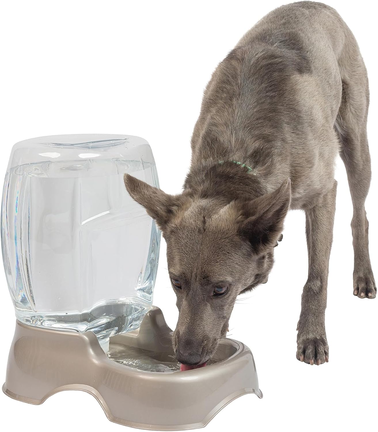 Petmate Replendish Gravity Waterer with Microban for Cats and Dogs, 1 Gallon,Blue, Made in USA