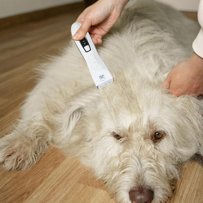 Hemoton Electric Pet Hair Clipper for Dogs Cats Rechargeable Grooming Tool Safe Hair Trimmer with Cleaning Brush and Position Comb Accessories for Pet Grooming at Home