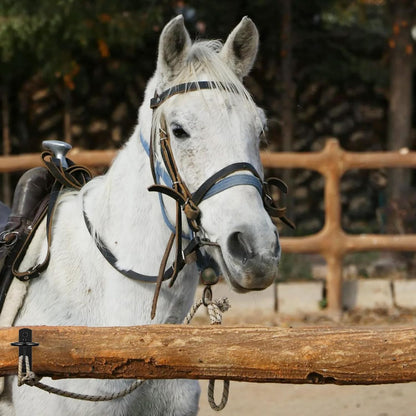 6 Pcs Bucket Hooks for Horses Black Metal Equestrian Water Bucket Hook Hangers Horse Stalls Feed Barn Farmhouse Supplies