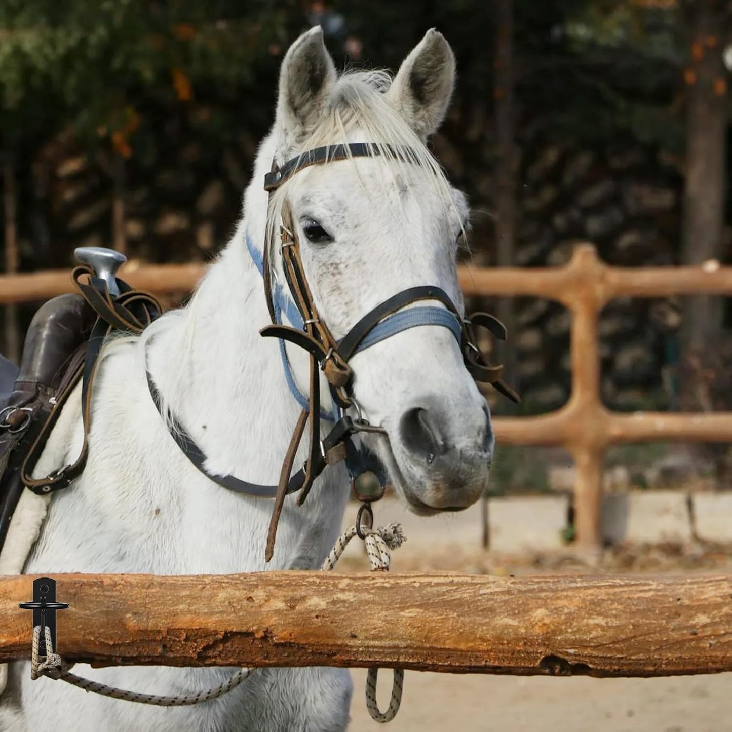 6 Pcs Bucket Hooks for Horses Black Metal Equestrian Water Bucket Hook Hangers Horse Stalls Feed Barn Farmhouse Supplies