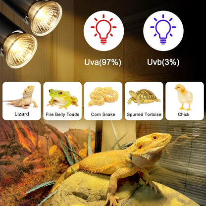 4-Pack 50W UVA Bulbs, Fit E26 Heat Reptile Lamp, Light Turtle Heat Lamp for Reptiles and Amphibian Tanks, Terrariums and Cages, Works with Various Lamp Fixtures