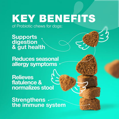 Probiotics for Dogs Gut Health, Digestion, Immunity, Yeast Balance, Itchy Skin, Allergies Support - Dog Probiotic Chews with Digestive Enzymes for Gut Flora- Soft Treats with Pumpkin and Yeast Powder