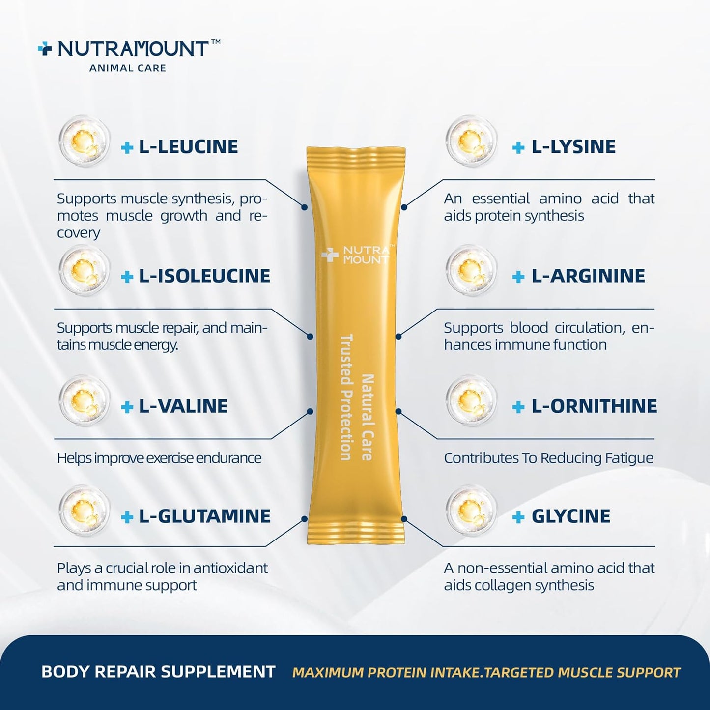 Equine Muscle Builder Supplement – Amino Acids for Muscle Gain, Topline Support & Faster Recovery, Performance Horse Body Repair Powder, 30-Day Supply