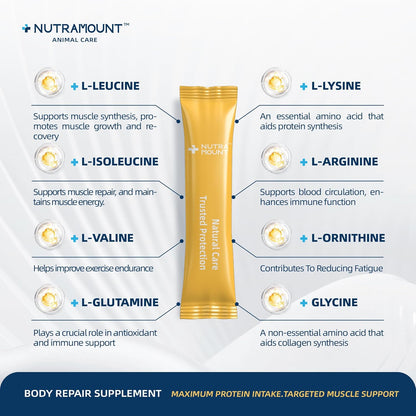 Equine Muscle Builder Supplement – Amino Acids for Muscle Gain, Topline Support & Faster Recovery, Performance Horse Body Repair Powder, 30-Day Supply