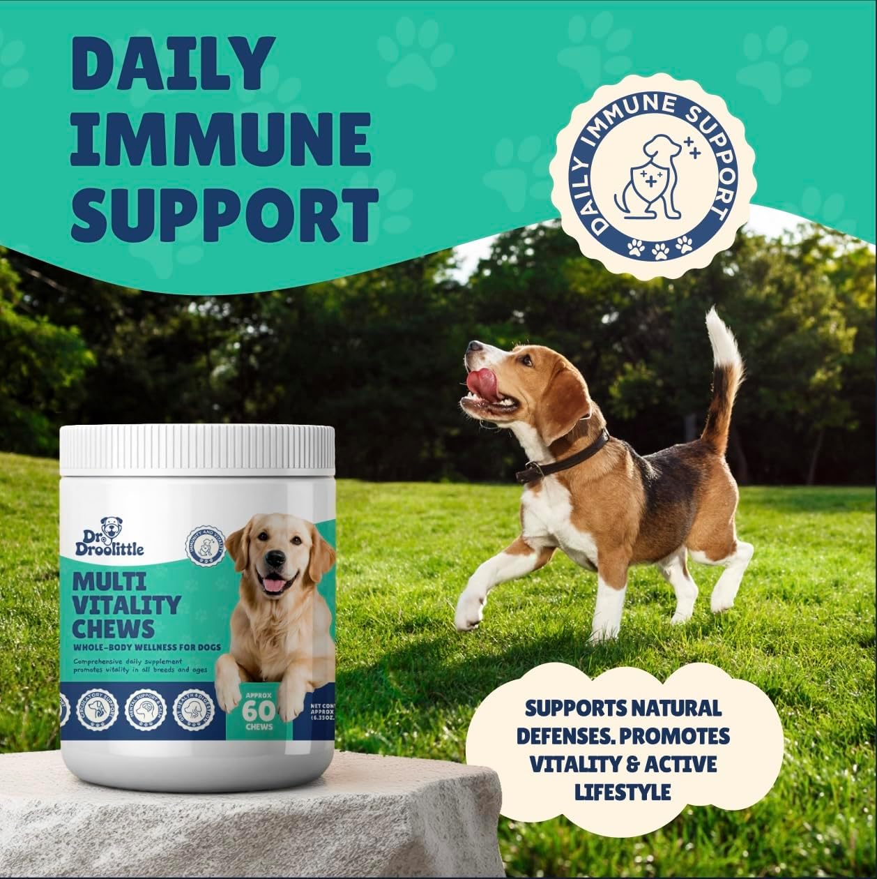 Senior Dog Supplement - Glucosamine, MSM, Turmeric, Salmon Oil, Probiotics & Ashwagandha - Supports Cognitive, Hip & Joint, Digestive, Immune & Heart Health - Dog Dementia Supplement.