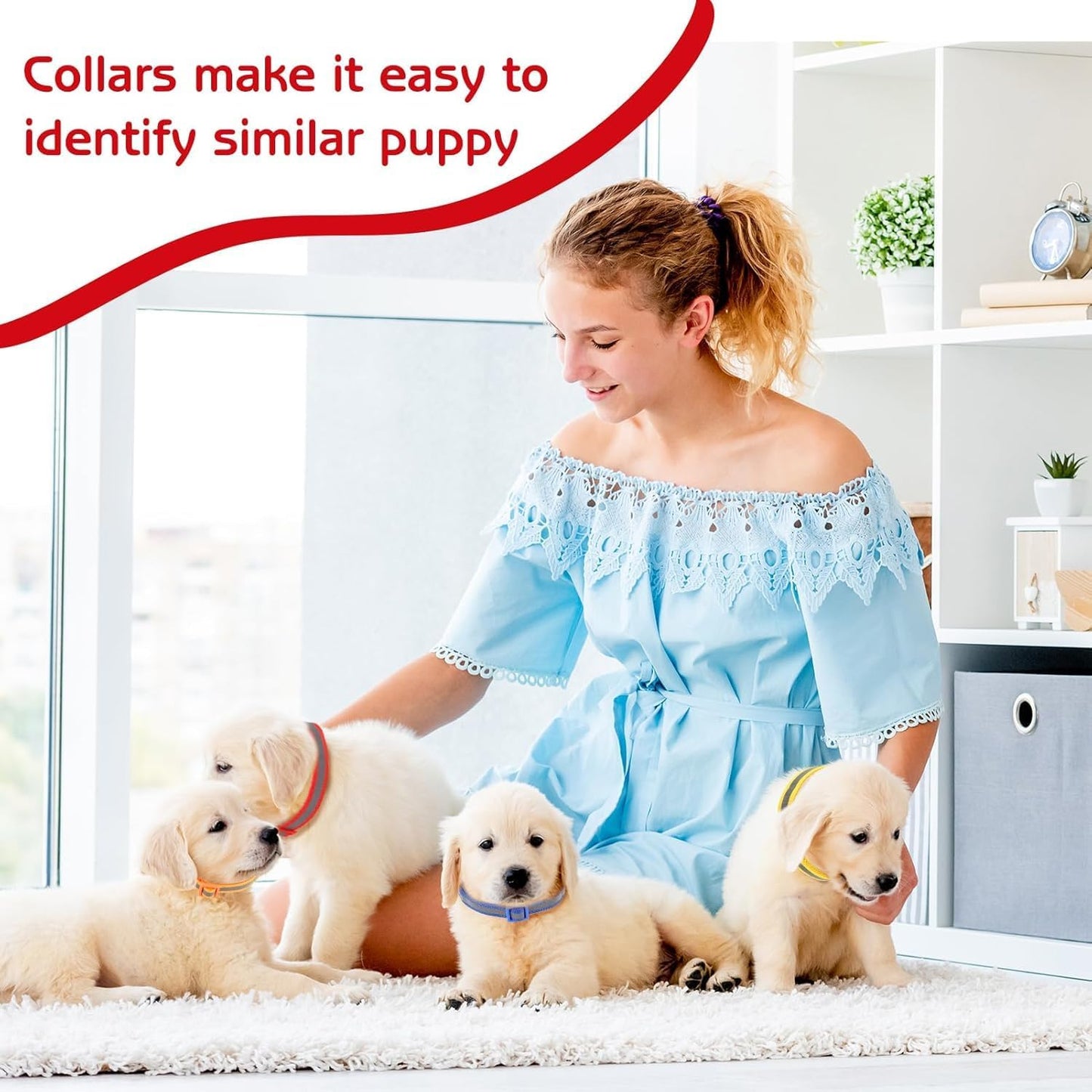 Dog Collar with Bell and Leash Set, Nylon Reflective Kitten Collars Girls Boys for XXS XS Small Pet Animal Litter Tiny Kitten Cat, Purple