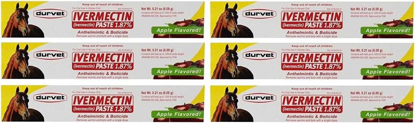Durvet 6 Pack of Ivermectin Paste, 0.21 Ounces each, Apple Flavored Horse Wormer