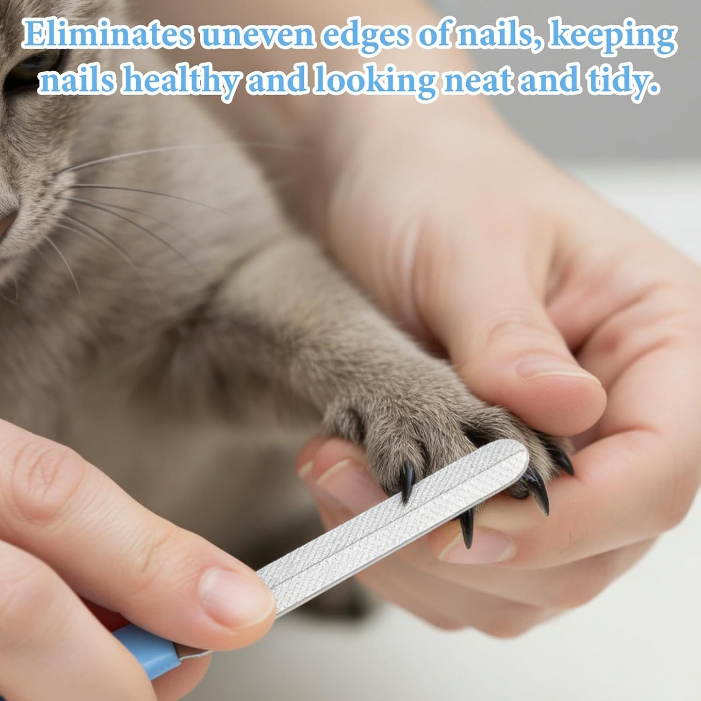 4Pcs Effective Pet Nail File Set, Professional Dog Nail Smoothing Tool, Metal Emery Boards for Dogs Cats Nails Small Large Breeds Puppies Toenails Rough Edges Grooming (Blue, Silver)